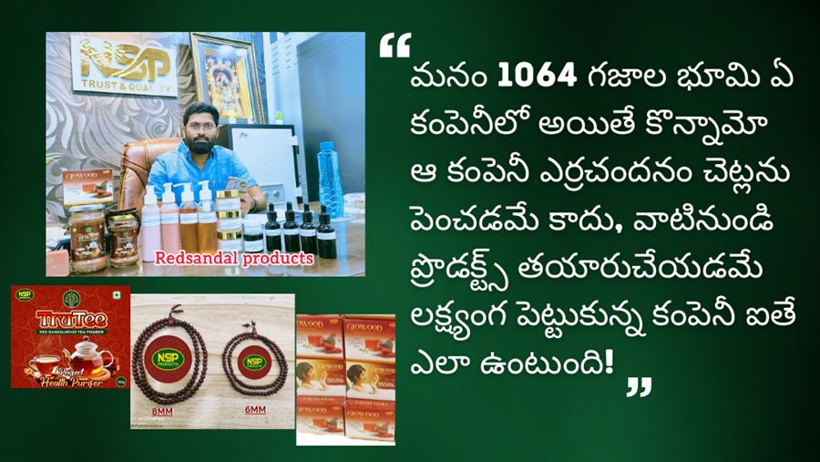 Red sandal produce visual from the supplied presentation