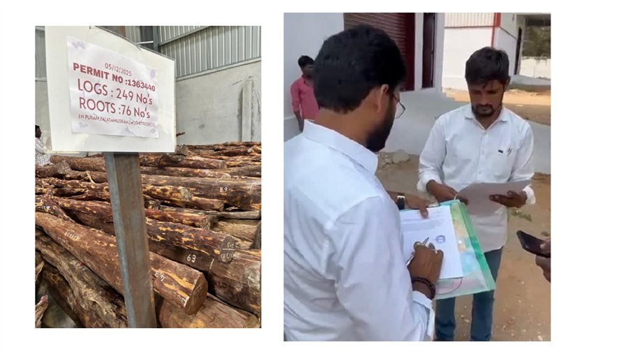 Red sandalwood logs and roots depot visual